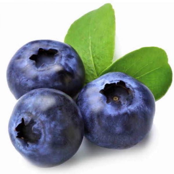 BLUEBERRY SEEDS